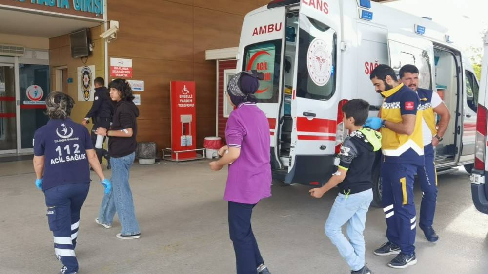Bursa'da 15 öğrenciyi arı soktu, okul tatil edildi