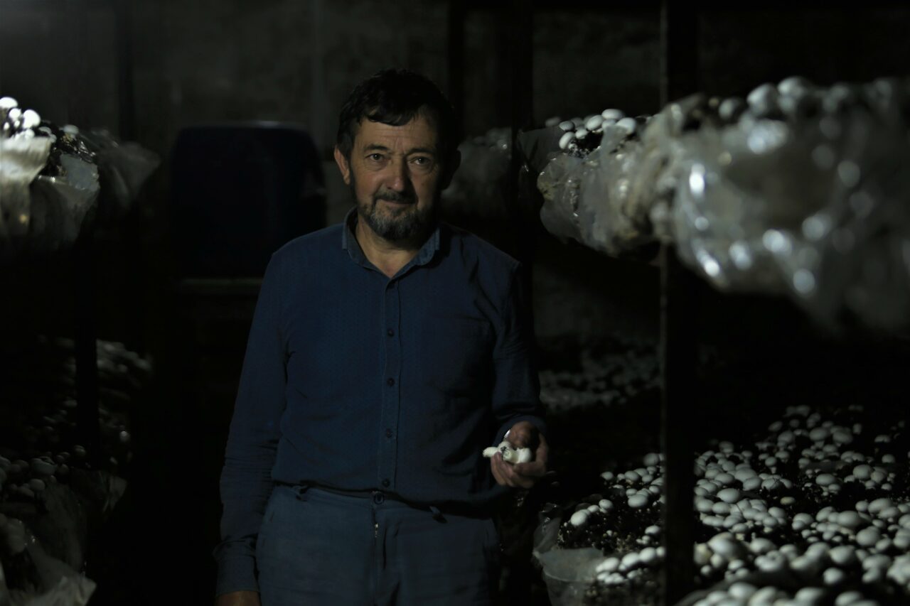 Bursa'nın Keles ilçesinde yaşayan Mustafa İyitürk, günde 200 kilogram kültür