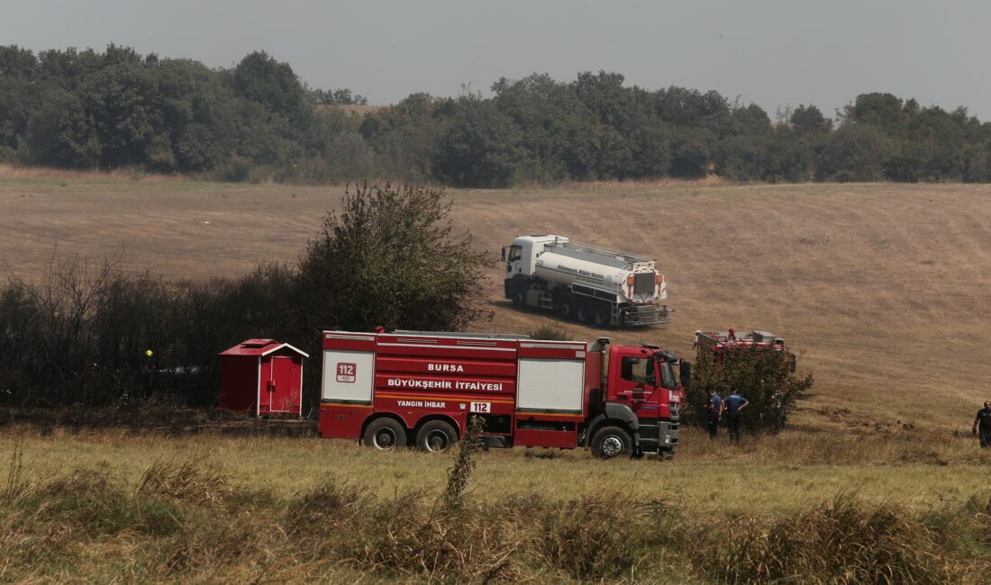 Bursa’nın Nilüfer ilçesinde anızda başlayan yangın ormanlık alana sıçradı.