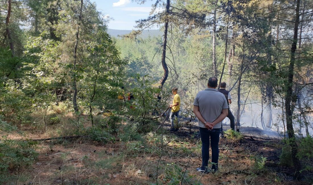 Bursa’da orman yangını Bursa'nın Orhaneli ilçesinde meydana gelen orman yangını kontrol altına alındı.