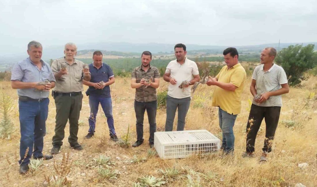 Avı yasaklanan keklikler doğaya salındı 2023-2024 YILI AV SEZONU İÇERİSİNDE TÜM AVLAKLARDA KEKLİK TÜRLERİNİN AVLANMASI