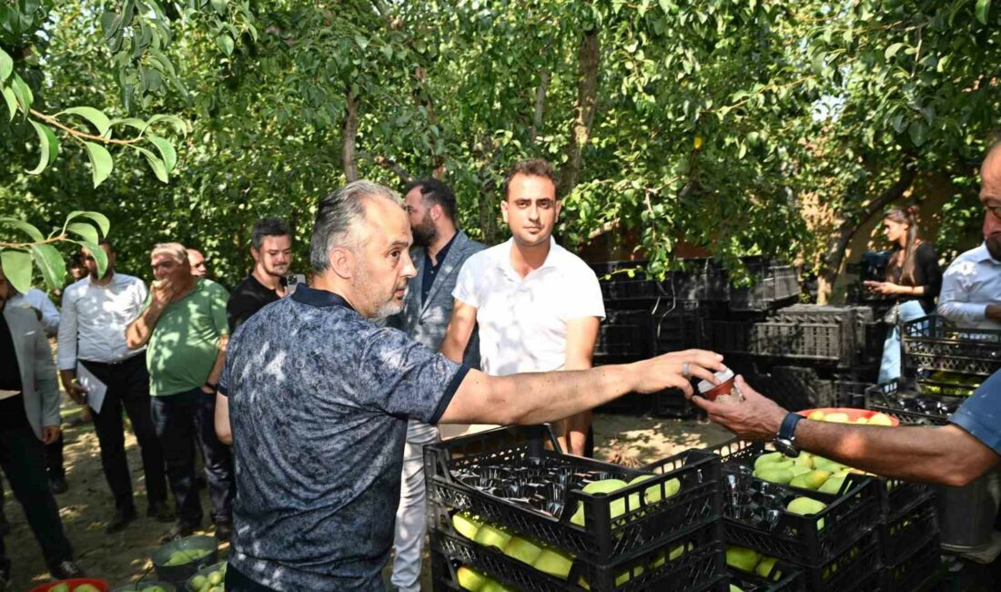 KIRSAL KALKINMA DESTEKLERİYLE HER ZAMAN ÇİFTÇİNİN YANINDA OLAN BURSA BÜYÜKŞEHİR