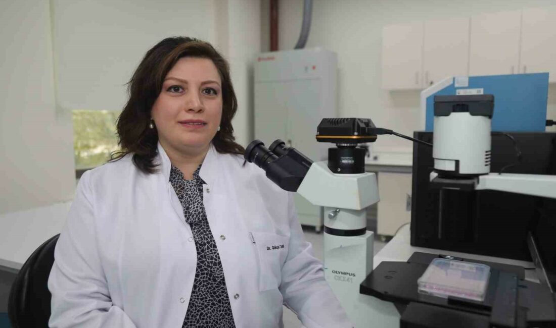 BURSA TEKNİK ÜNİVERSİTESİ (BTÜ) MÜHENDİSLİK VE DOĞA BİLİMLERİ FAKÜLTESİ (MDBF)