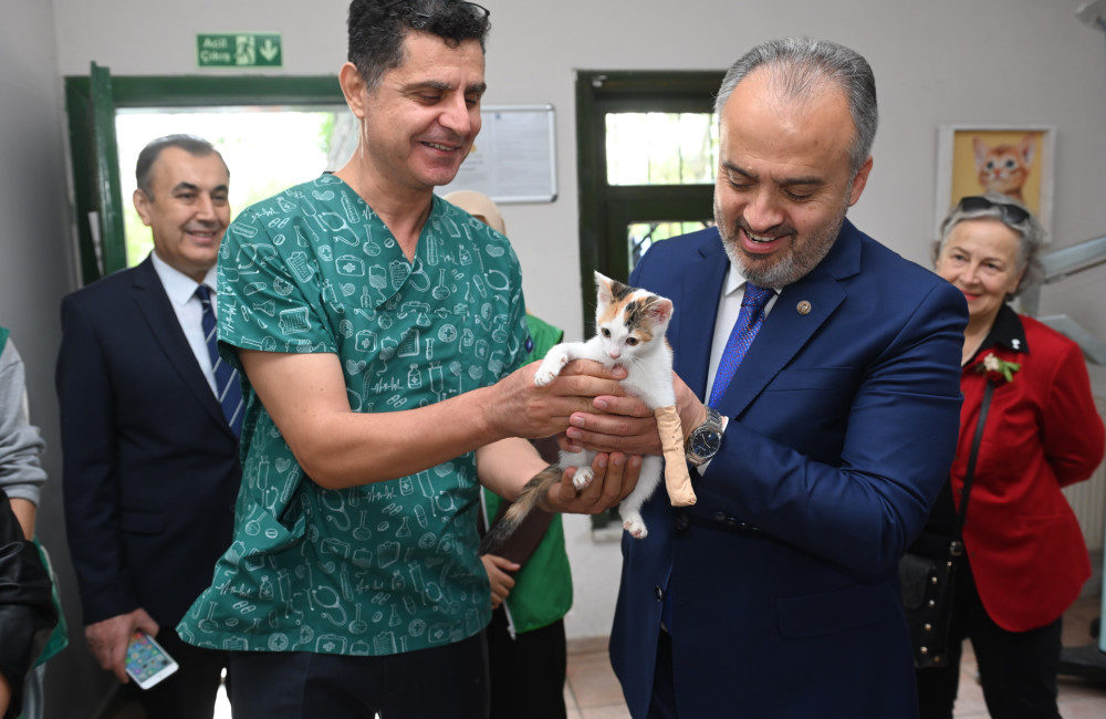 Bursa Büyükşehir Belediye Başkanı Aktaş kedi sahiplendi Bursa Büyükşehir Belediye Başkanı Alinur Aktaş, 4 Ekim Dünya Hayvanları