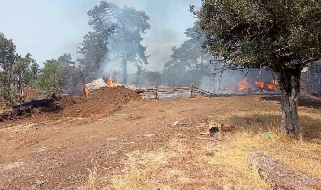 BURSA’NIN MUSTAFAKEMALPAŞA İLÇESİNDE KOYUN AĞILINDA MEYDANA GELEN YANGIN KISA SÜREDE