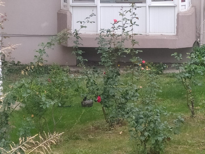 Bursa'da balkondaki tüp bomba gibi patladı