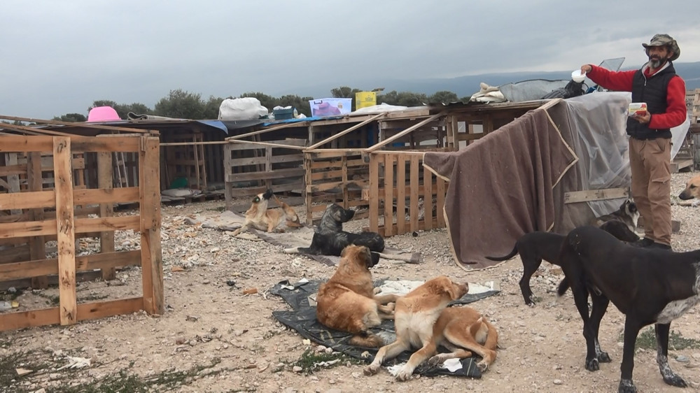 Bursa'da bir araya gelen gönüllüler 300 köpeğe bakıyor