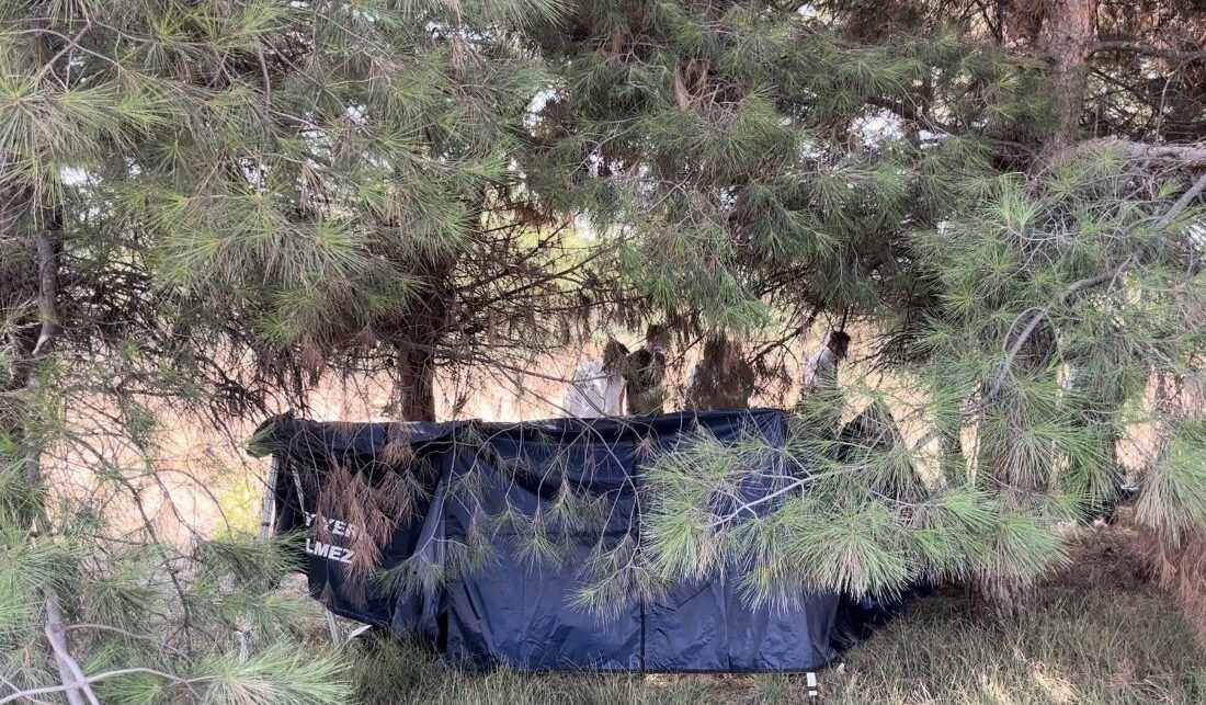 Bursa’da ağaçlık alanda ceset bulundu Bursa’nın Nilüfer ilçesindeki ağaçlık alanda 32 yaşında bir erkek cesedi
