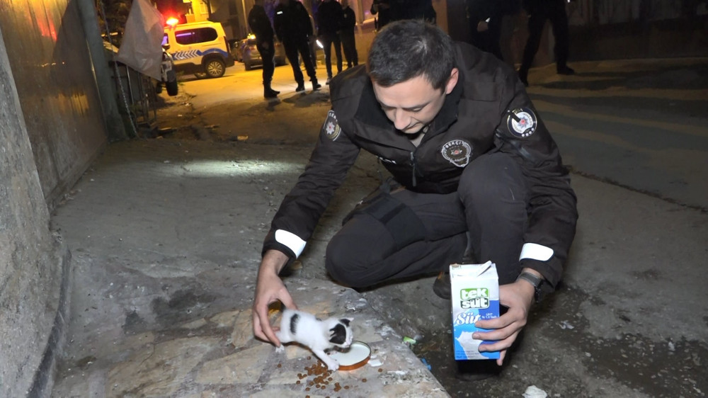Bursa'da hırsız var diye girilen evden kedi çıktı