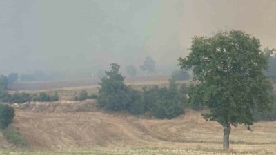 Bursa’nın Yenişehir ilçesinde çıkan orman yangınına havadan ve karadan müdahale