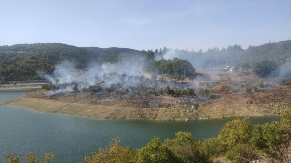 Bursa'da ormanlık alanda korkutan yangın