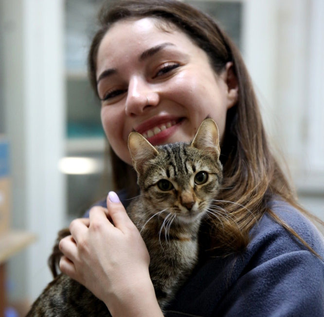 Bursa’da tedavi gören can dostlara ‘yuva’ aranıyor Bursa’da operasyon geçirmiş, bir süre tedaviye muhtaç hayvanlara geçici yuva