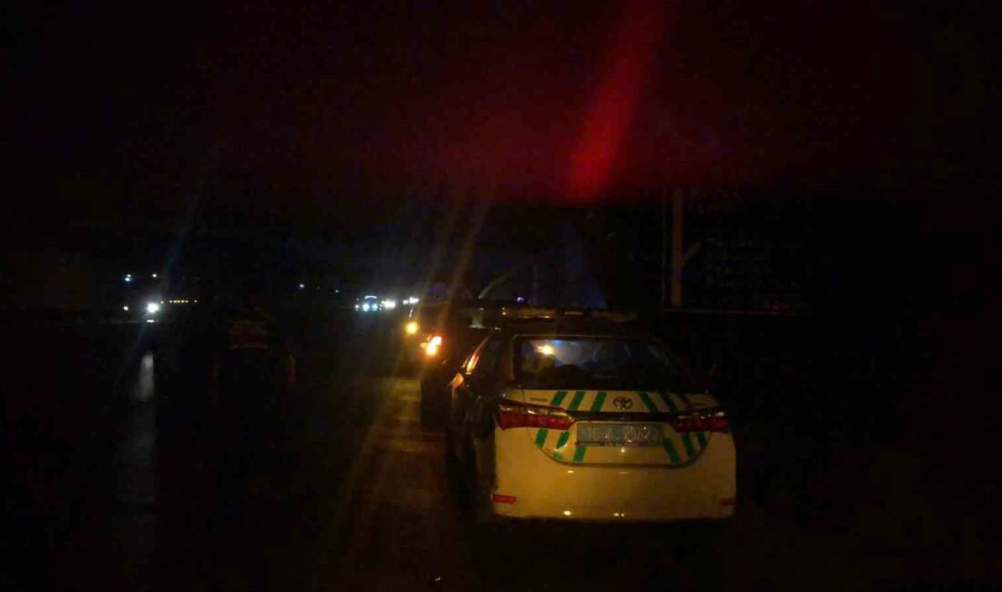 Bursa’da polis memurlarına araç çarptı Bursa’nın Gemlik ilçesinde trafik kazasına müdahale eden 2 polis memuruna