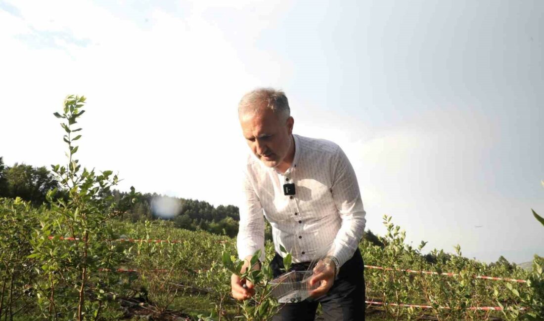 İNEGÖL BELEDİYE BAŞKANI ALPER TABAN