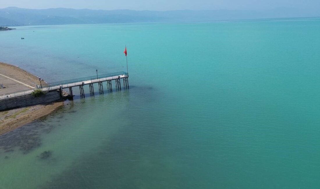Bursa’da hava sıcaklarının artması sebebiyle meydana gelen plankton patlaması, İznik