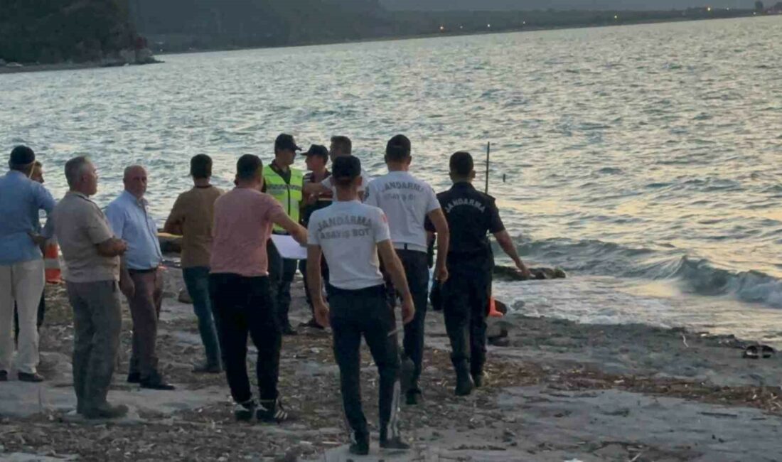 Bursa’nın İznik ilçesinde, serinlemek için göle giren 80 yaşındaki adam