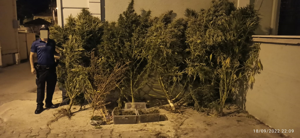 İznik'te uyuşturucu operasyonunda 1 kişi yakalandı