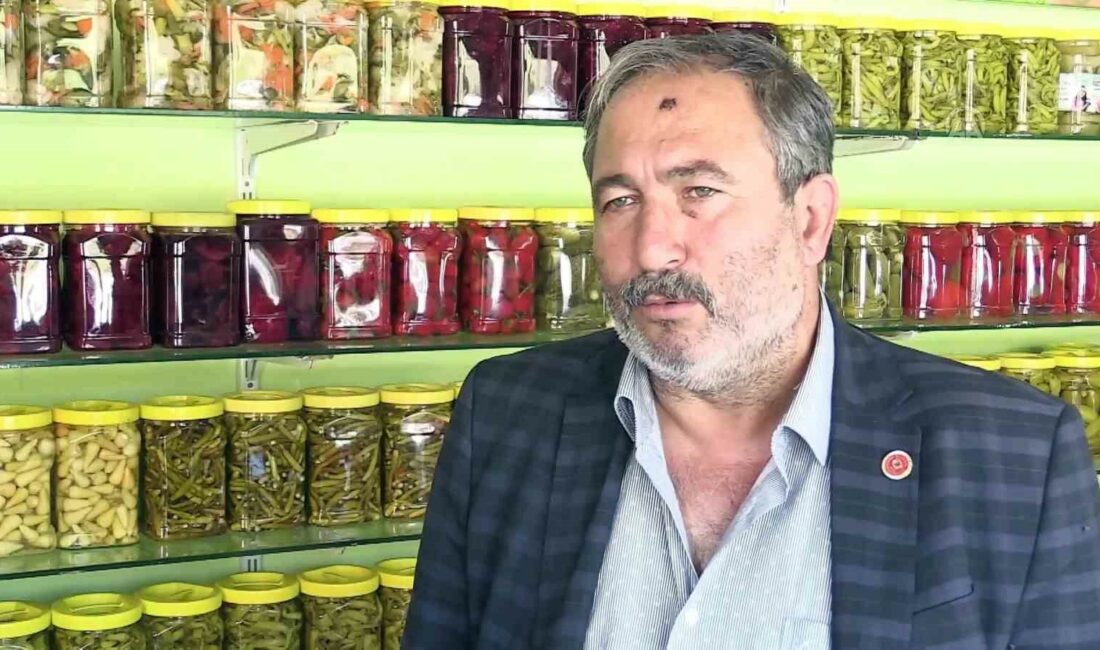 BURSA’NIN ORHANGAZİ İLÇESİNDE SABAH SAATLERİNDE KÖY KAHVESİNDE KOYUNLARI BAHÇELERE GİRİP