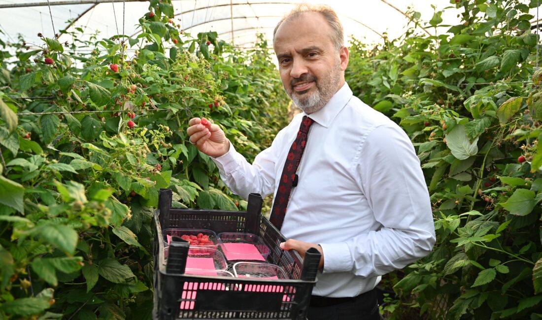 Büyükşehir, Bursa’nın tarımdaki gücünü daha da attırmak istiyor Bursa Büyükşehir Belediyesi, kentin tarım alanındaki gücünü arttırabilmek için farklı