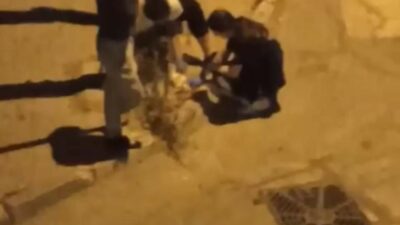 Bursa'nın Osmangazi ilçesinde, otomobilin ezdiği kediyi gören hemşireler, kalp masajı