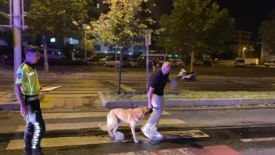 Tekirdağ'ın Çorlu ilçesinde, park halindeki araca çarpan ve alkollü olduğu