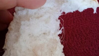 Tekirdağ'ın Kapaklı ilçesinde, bir kişinin büfeden aldığı ekmeğin içinden çuval