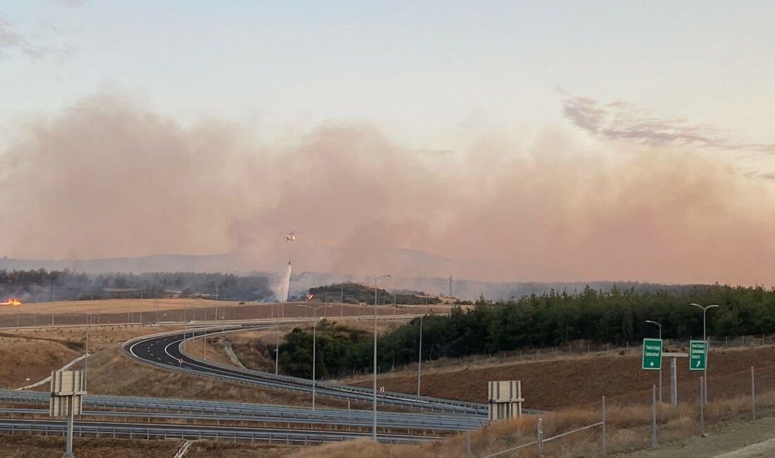 Çanakkale’nin Gelibolu ilçesinde makilik alanda çıkan yangın askeri bölgeye sıçradı.