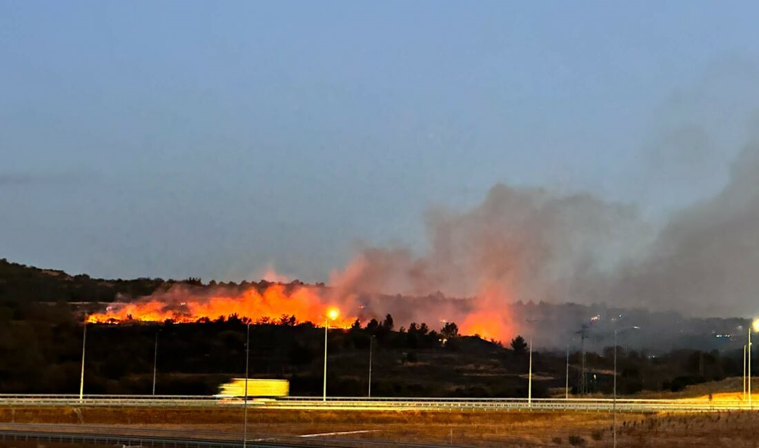 Gelibolu’da askeriyedeki orman yangını kısmen kontrol altına alındı Çanakkale’nin Gelibolu ilçesinde makilik alandan askeri alandaki ormana sıçrayan yangın