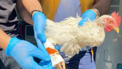 Bursa'da, Osmangazi ilçesi Ulus 112 Acil Sağlık Hizmetleri istasyonuna gelen