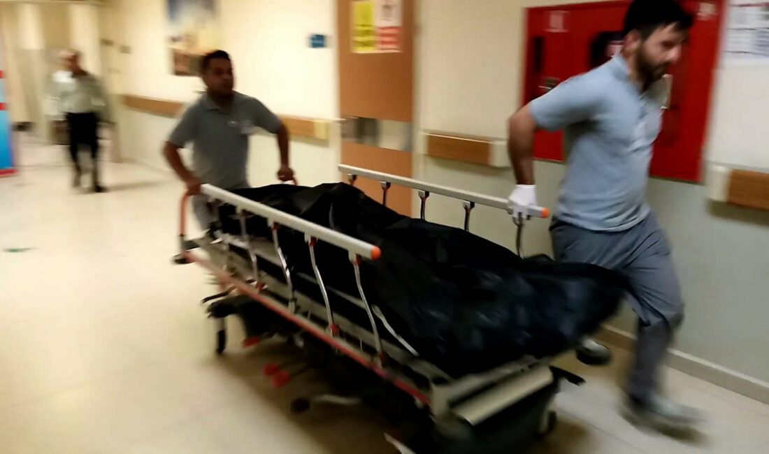 Bursa'nın Kestel ilçesinde, tarlada çalıştığı sırada arı tarafından sokulan kadın