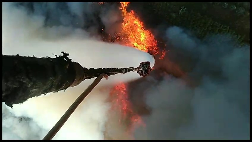 Kestel’deki orman yangınına helikopterle böyle müdahale edildi