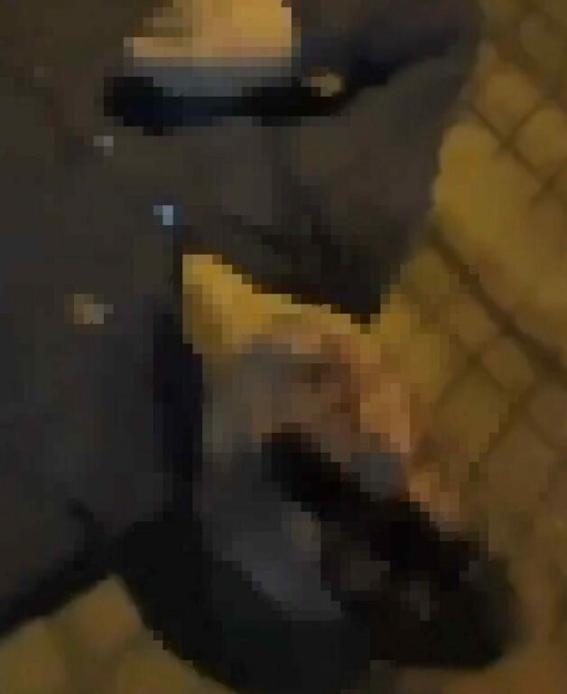 Bursa'nın Nilüfer ilçesinde, gece kulübü işletmecisi Bülent Karakuş’u öldüren E.E'nin