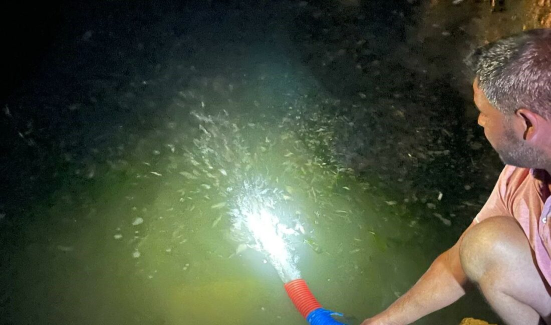 Tarım ve Orman Bakanlığı tarafından İznik Gölü’ne 2 milyon 200