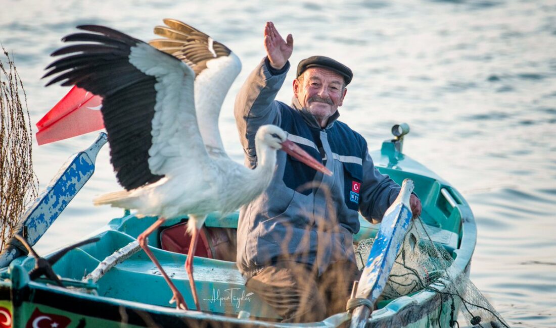 Masalsı hikayeleriyle bilinen Yaren Leylek, Bursa'nın Karacabey ilçesinde yaşayan Adem