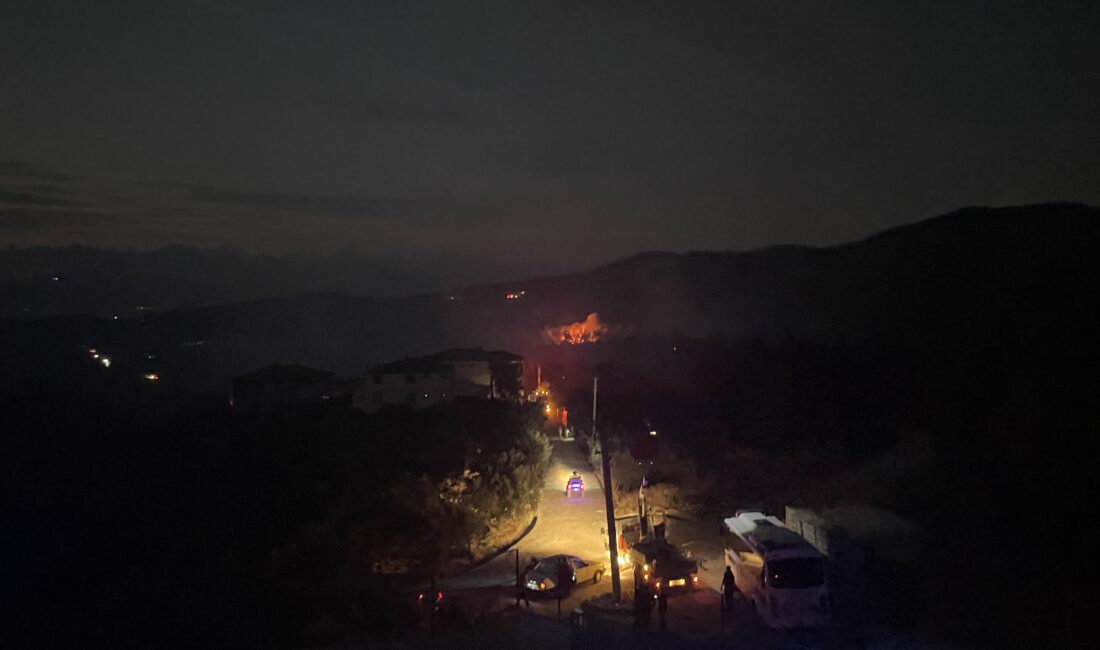 Bursa’nın Mudanya ilçesinde ormanlık alanda çıkan yangına havadan ve karadan