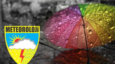 Güney Ege, Akdeniz, Orta ve Doğu Karadeniz kıyıları, İstanbul, Kırklareli,