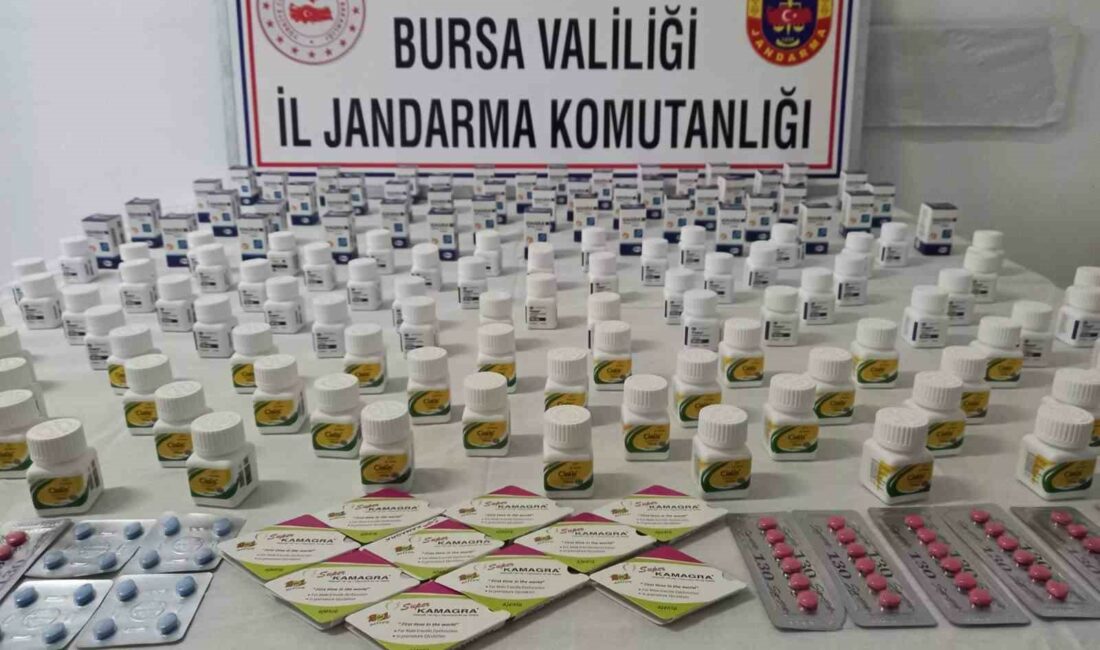 Bursa’nın Gemlik ilçesinde Jandarma istihbarat ekiplerince yapılan operasyonda sahte ve