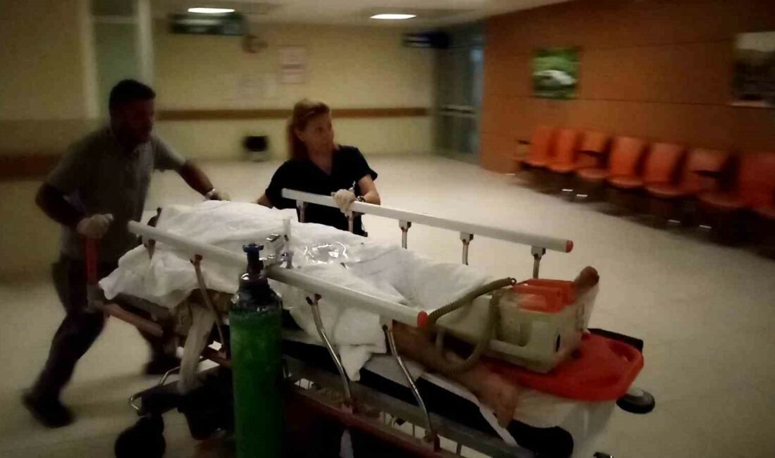 Bursa’da otomobilin çarptığı bisikletli ağır yaralandı Bursa’nın İnegöl ilçesinde meydana gelen trafik kazasında otomobilin çarptığı bisiklet