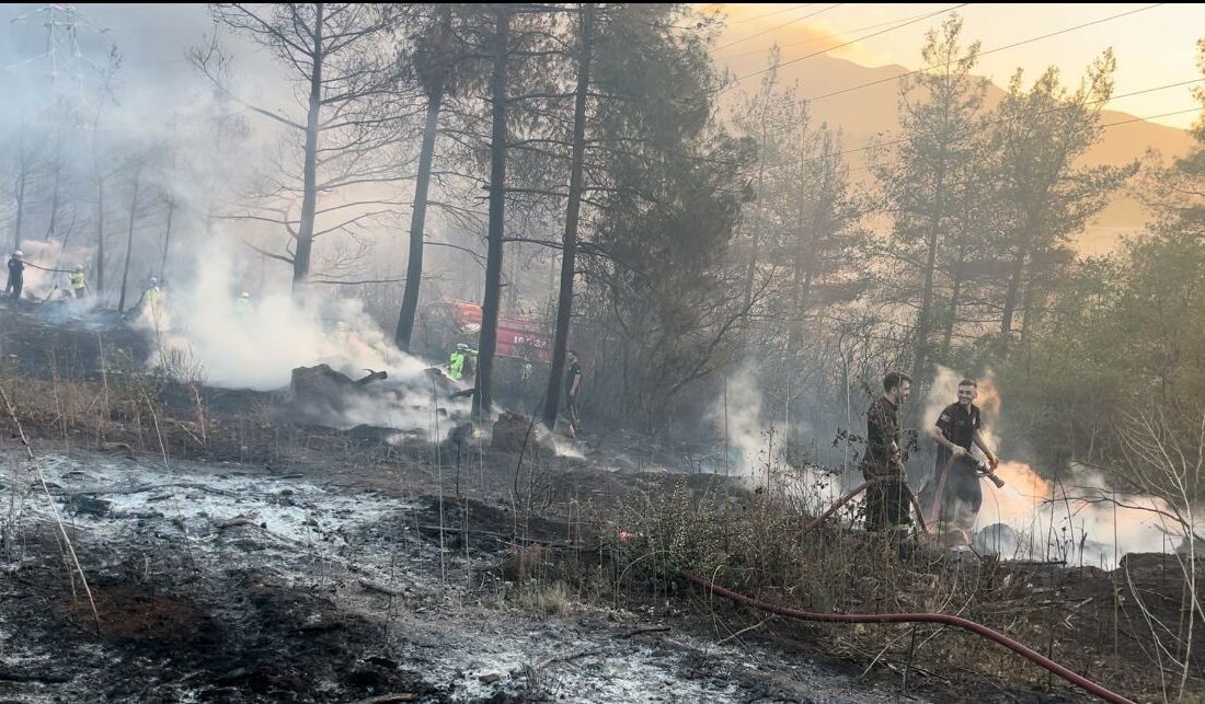 Bursa Kestel’deki orman yangını kontrol altına alındı Bursa’nın Kestel ilçesinde ormanlık alanda çıkan yangın kontrol altına alındı.