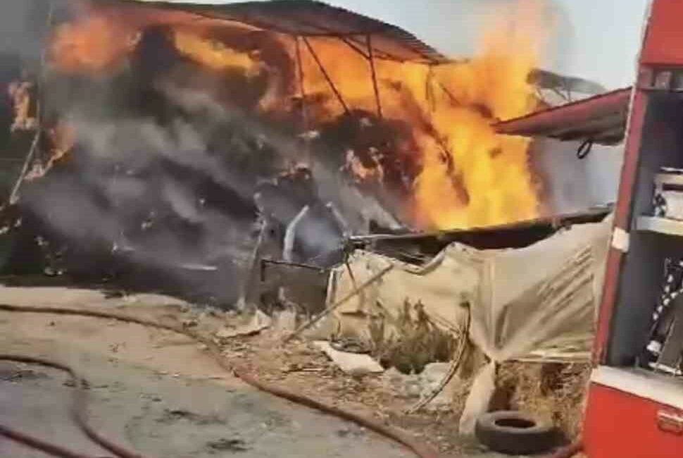 Bursa'nın Nilüfer ilçesindeki bir çiftlikte hayvan yemlerinin bulunduğu depo yandı.