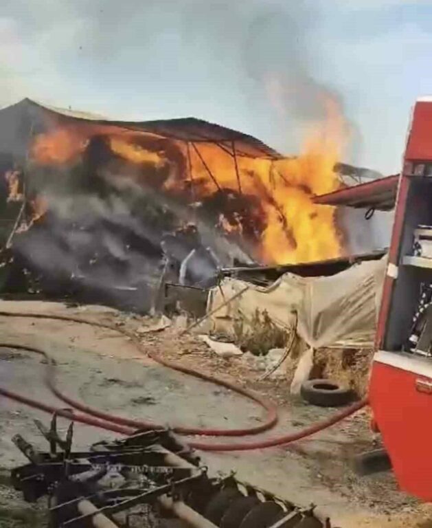 Bursa'nın Nilüfer ilçesindeki bir çiftlikte hayvan yemlerinin bulunduğu depo yandı.