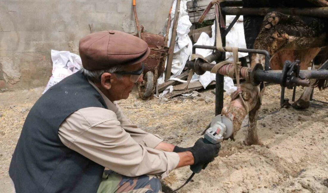 Bursa’nın Keleş ilçesinde yaşayan Halil Oruç, 25 yıldır ineklere ayak
