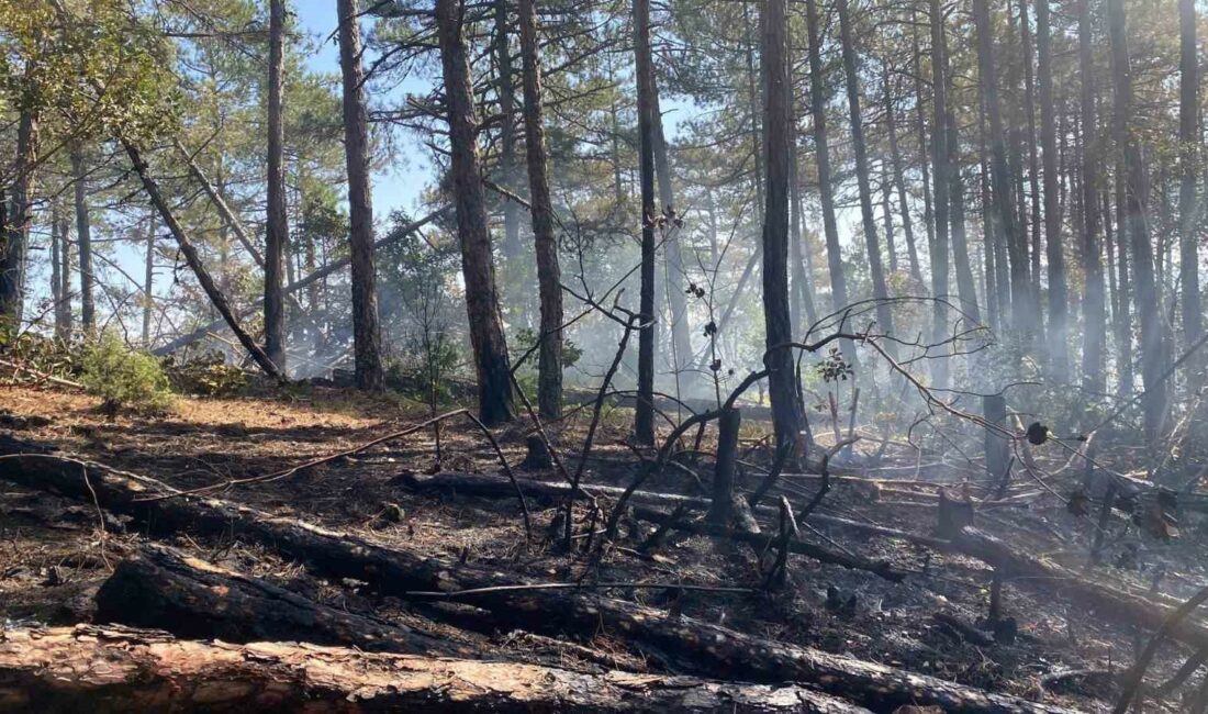 Bursa-Kütahya sınırında orman yangını Kütahya’nın Tavşanlı ilçesi ile Bursa’nın Harmancık ilçesini de sınırları içine