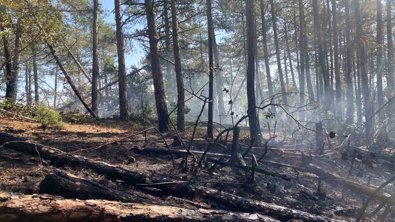 Bursa-Kütahya sınırında orman yangını