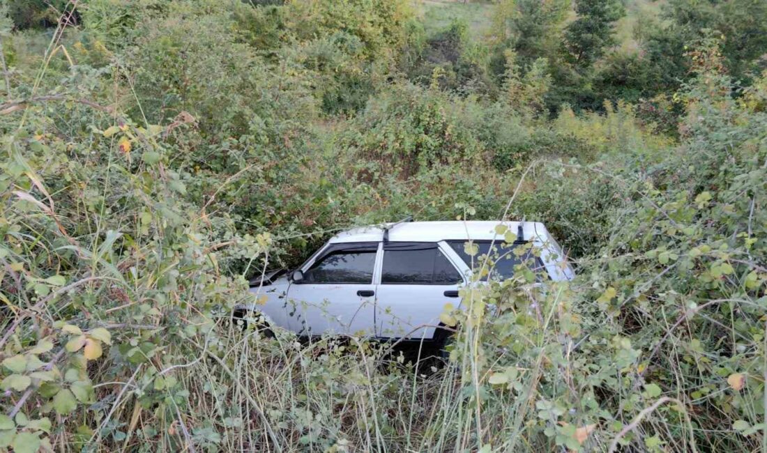 İnegöl’de lastiği patlayan otomobil şarampole düştü Bursa’nın İnegöl ilçesinde meydana gelen trafik kazasında şarampole düşen otomobildeki