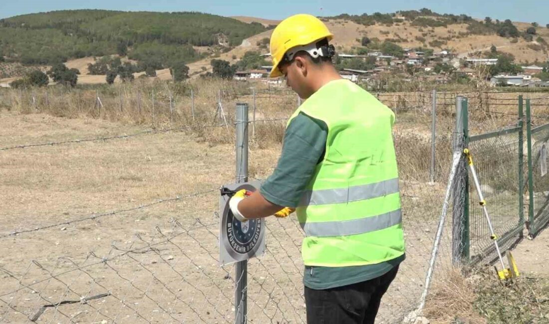 Büyükşehir, meraları koruyacak Bursa Büyükşehir Belediyesi, kırsal kalkınma yatırımlarına mera alanlarının korunması ve
