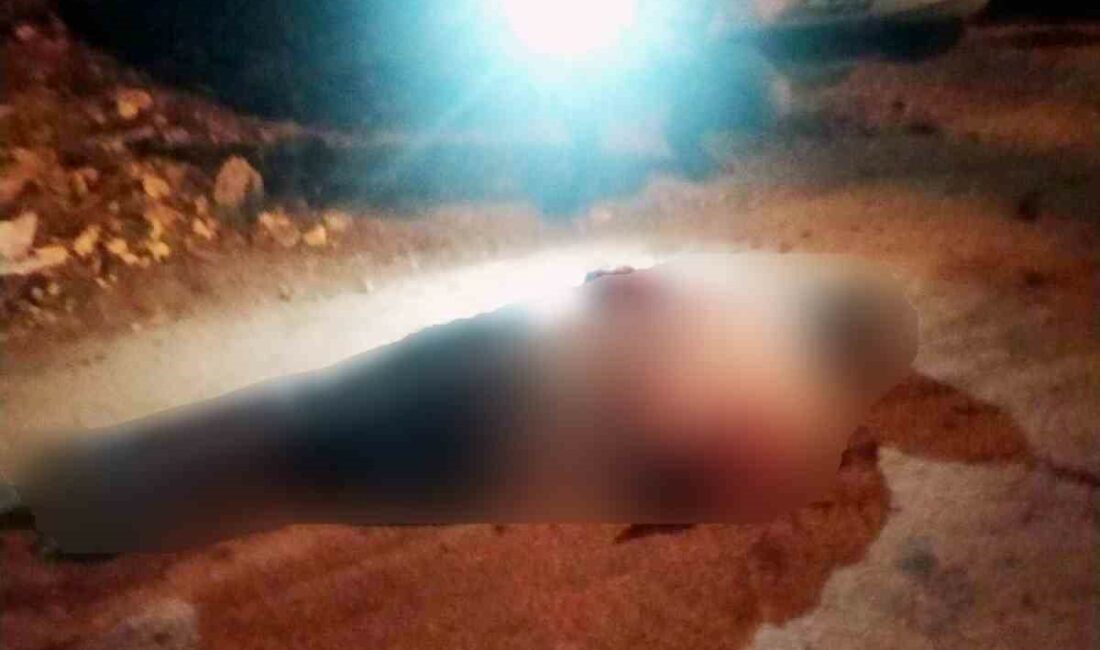 Bursa'nın Mudanya ilçesinde bir şüpheli, minibüsle ezmeye çalıştığı kişiyi Mustafa