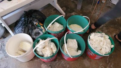 Bursa'nın Osmangazi ilçesinde, yabancı uyruklu kişilerce işletilen kaçak peynir imalathanesine