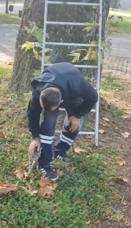 Ağaçta mahsur kalan kediyi ekipler kurtardı BURSA’DA ASIRLIK AĞACA ÇIKAN KEDİ MAHSUR KALDI. VATANDAŞLARIN İHBARIYLA GELEN
