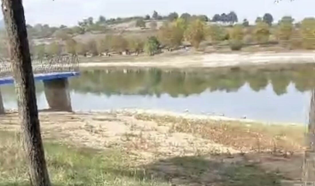 Balık yakalamak isterken gölete düşen çocukları babaları kurtardı BURSA'NIN İNEGÖL İLÇESİNDE ELLERİYLE BALIK YAKALAMAK İSTERKEN GÖLETE DÜŞEN KARDEŞLERİ,